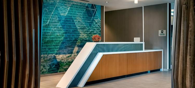 坦帕阳光海岸帕克威万豪SpringHill Suites酒店(SpringHill Suites Tampa Suncoast Parkway)图片