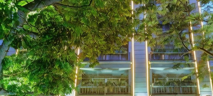 针叶树精品酒店(Conifer Boutique Hotel)图片