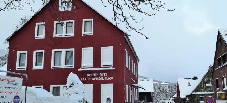 菲希特尔贝格山景公寓(Apartments Fichtelberger Blick)图片