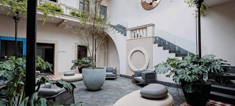 卡索纳142精品酒店奥里萨巴(Casona 142 Hotel Boutique Orizaba)图片