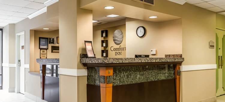 五角大楼城舒适酒店(Comfort Inn Pentagon City)图片