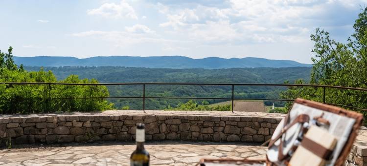 克罗斯特城堡(Château les Crostes)图片