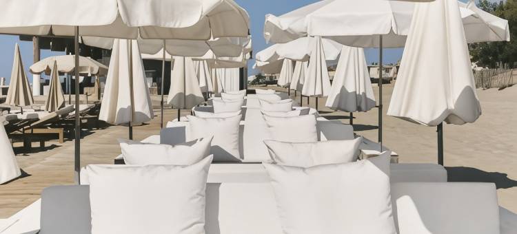 海滩宫酒店(Hôtel Plage Palace & Spa)图片