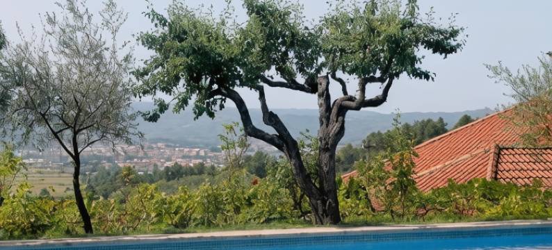 金塔大马塔酒店(Quinta da Mata - Turismo de Habitação)图片