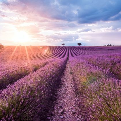 法国+安道尔+西班牙+卢瓦尔河谷7日6晚跟团游