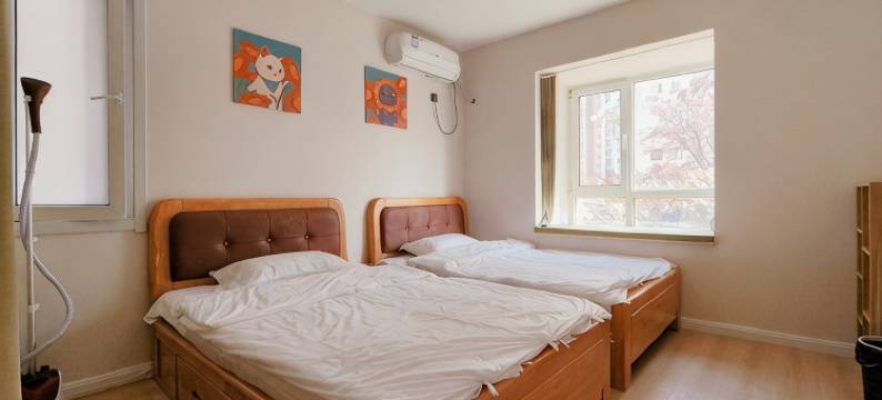 撸猫撸铁的房东大叔公寓(华兴南街分店)图片