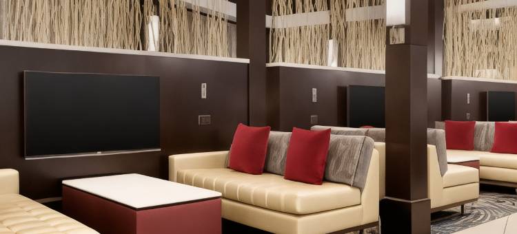 希尔顿亚特兰大东北-格温内特糖山大使套房酒店(Embassy Suites by Hilton Atlanta NE - Gwinnett Sugarloaf)图片