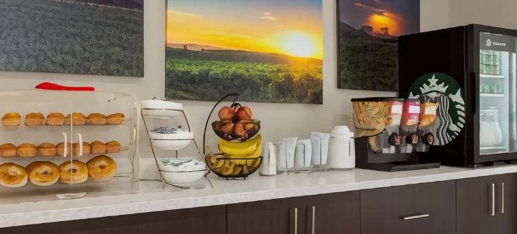 大汤博尔温德姆戴斯套房酒店(Days Inn & Suites by Wyndham Greater Tomball)图片