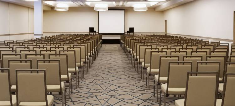 底特律利沃尼诺维希尔顿安泊酒店(Embassy Suites by Hilton Detroit Livonia Novi)图片