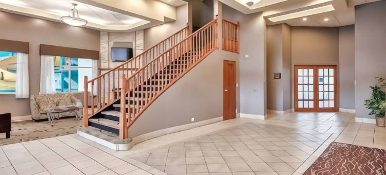 南部舒适酒店(Comfort Inn & Suites South)图片