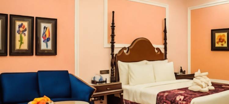 梅菲尔Purnea(Mayfair Purnea)图片