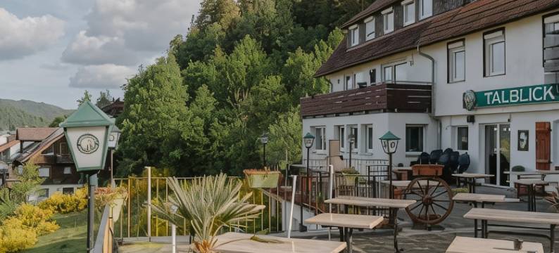 塔尔景膳宿公寓(Gasthaus Talblick - Schwarzwald Plus Karte Inkludiert)图片