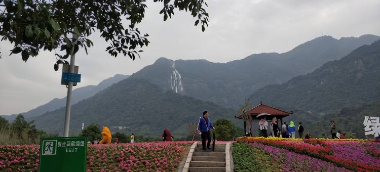 广州增城锦绣健康山谷泳池温泉别墅图片