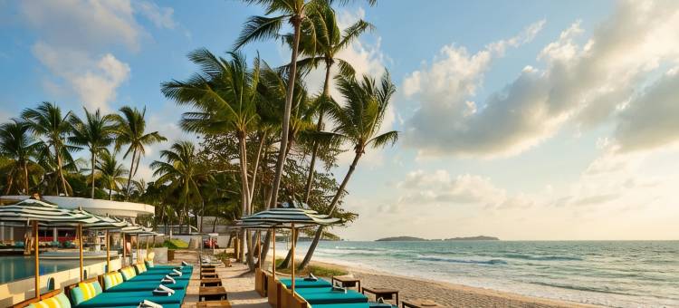 苏梅岛查汶安凡尼酒店及海滩俱乐部(Avani Chaweng Samui Hotel & Beach Club - Adults Only)图片