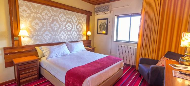 欧索塞亚凯么乐酒店(Hotel Eurosol Seia Camelo)图片