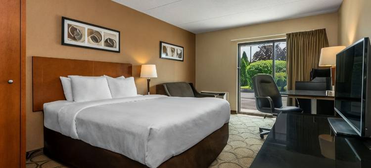 蒂明斯舒适酒店(Comfort Inn Timmins)图片