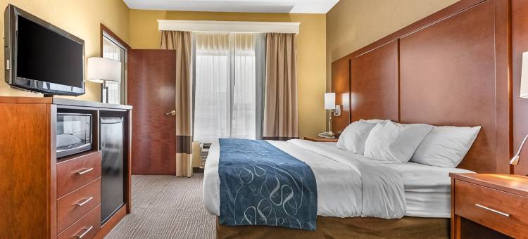 芬德利I-75舒适套房靠近体育综合体(Comfort Suites Findlay I-75 Near Sports Complex)图片