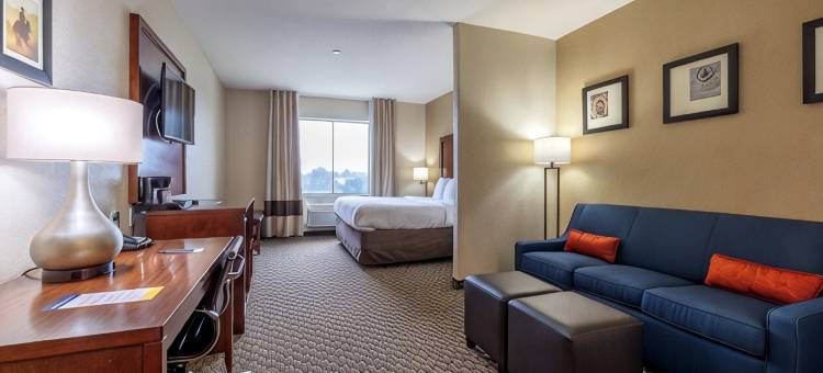 纳瓦索塔舒适套房酒店(Comfort Inn & Suites Navasota)图片
