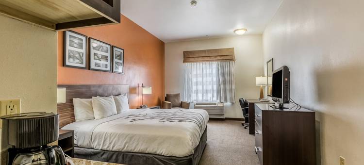 斯塔福德舒格兰舒眠套房酒店(Sleep Inn & Suites Stafford - Sugarland)图片