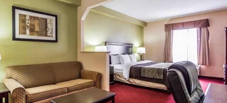 林肯I-20舒适套房酒店(Comfort Inn & Suites Lincoln I-20)图片