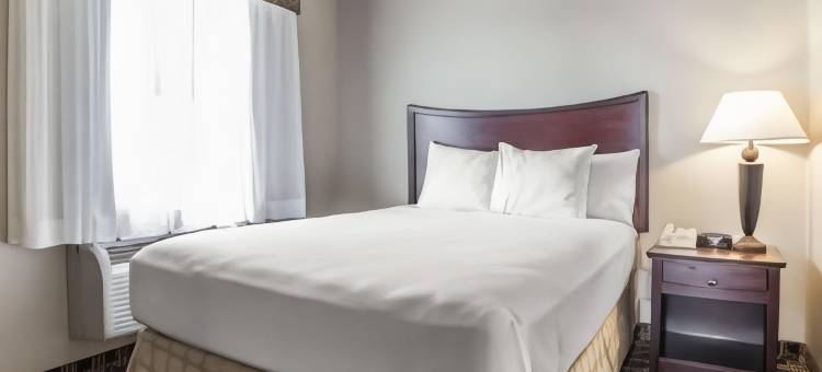 圣罗伯特主要留宿套房酒店 - 伍德堡雷奥纳德(MainStay Suites St Robert-Fort Leonard Wood)图片