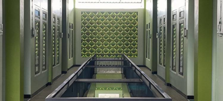 Kiwi Guest House Palangka Raya图片