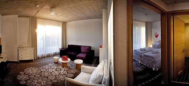 Bonvino葡萄酒和Spa酒店(Hotel Bonvino Wine & Spa)图片
