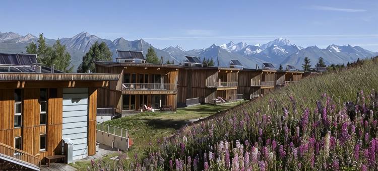 里艾奎勒格瑞维木屋酒店(L'Aiguille Grive Chalets Hotel)图片