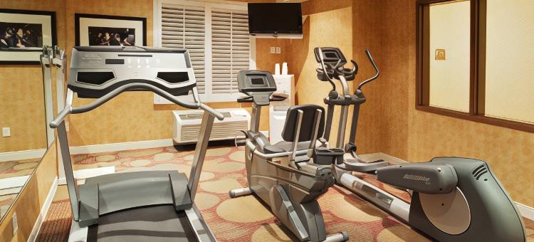 智选假日套房酒店莫德斯托，萨利达(Holiday Inn Express & Suites Modesto-Salida)图片