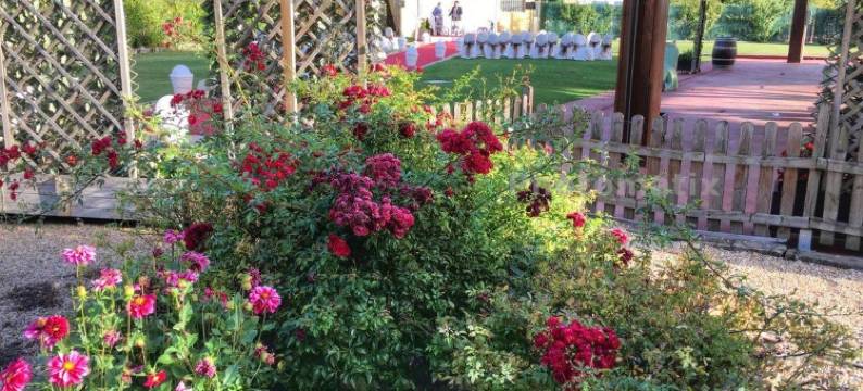 斯考特而桑乔大帝酒店(Rey Sancho Palencia)图片