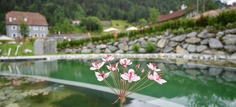 贝尔韦德雷酒店(Tilia Living - b&b Mit Dem Komfort Eines Kleinen, Feinen Hotels)图片