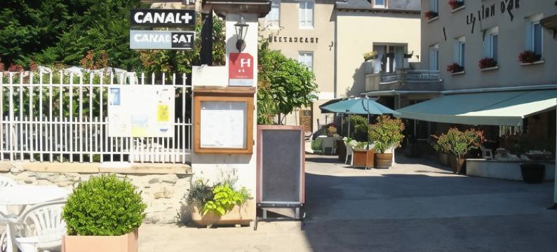 金狮酒店(Hotel le Lion d'Or)图片