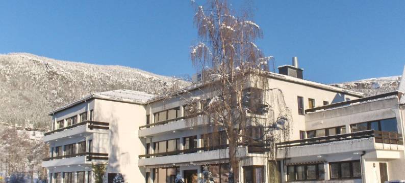 因韦克弗约德酒店(Innvik Fjordhotell)图片