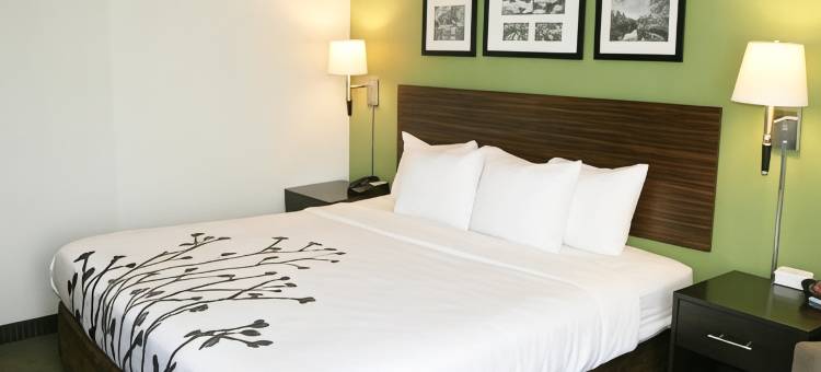 史东尼溪-圣彼得堡南舒眠套房酒店(Sleep Inn & Suites Stony Creek - Petersburg South)图片