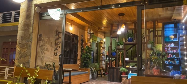 沙坝Botanic酒店(Botanic Sapa Hotel)图片