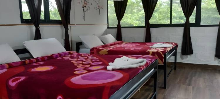 青山农场和招待所(Green Hills Farm and Guest House)图片
