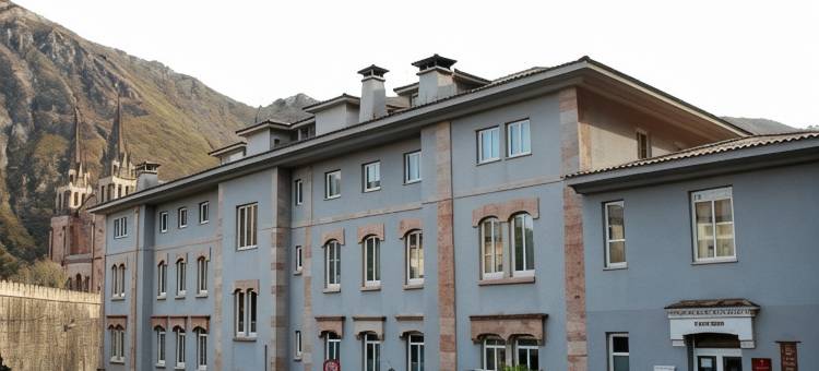 阿尔塞亚佩拉约大酒店(Arcea Gran Hotel Pelayo)图片