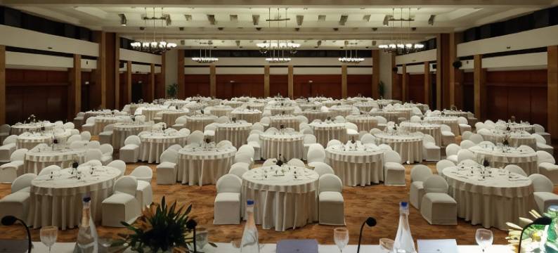 杰皮宫酒店&国际会议中心(Jaypee Palace Hotel)图片