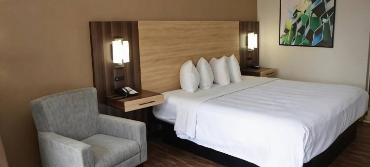 桑蒂温德姆呗盟酒店(Baymont by Wyndham Santee)图片