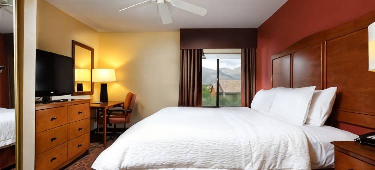 希尔顿欢朋套房酒店-图森购物中心(Hampton Inn & Suites Tucson-Mall)图片