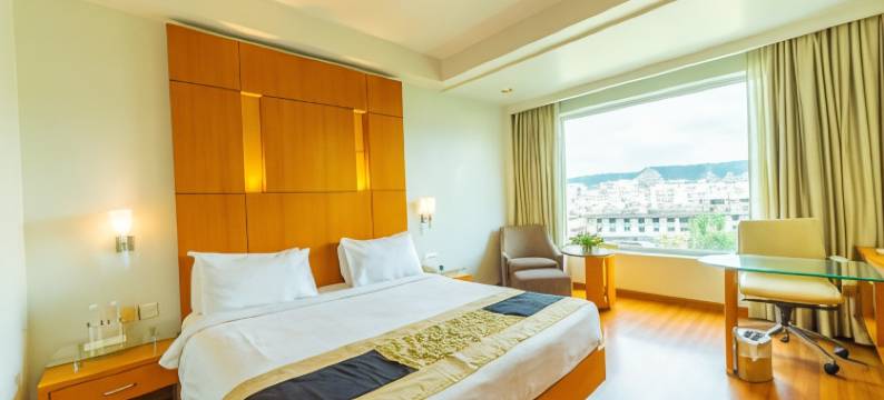 齐普尔温德姆华美达酒店(Ramada by Wyndham Jaipur)图片