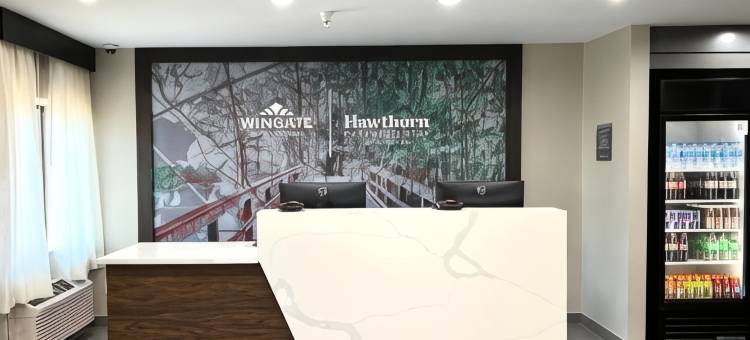 Wingate by Wyndham Jackson图片