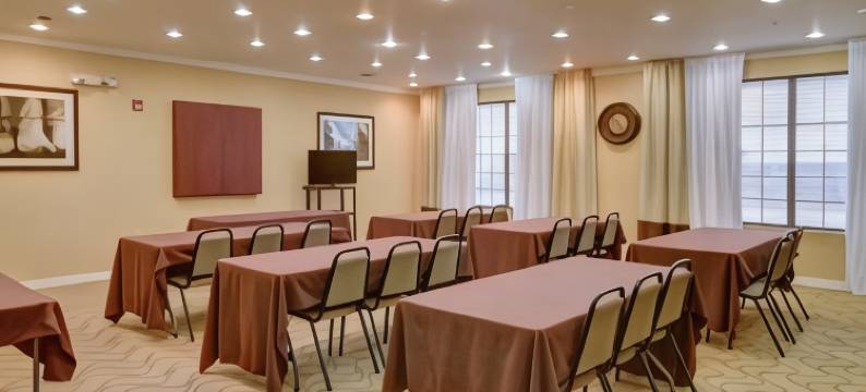 罗阿诺克-北沃斯堡舒适全套房酒店(Comfort Suites Roanoke - Fort Worth North)图片