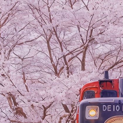 日本东京+大阪+京都+福冈9日8晚跟团游