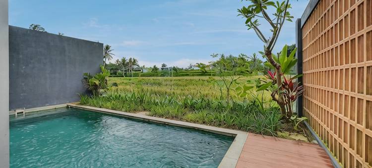 Kumarajiva B3 | 2BR Ricefield Pool Villa in Ubud - A Luxury Private Villa By Balinest Villas图片