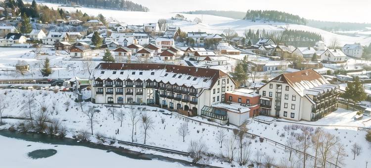 迪美尔西戈贝尔酒店(Göbel's Seehotel Diemelsee)图片