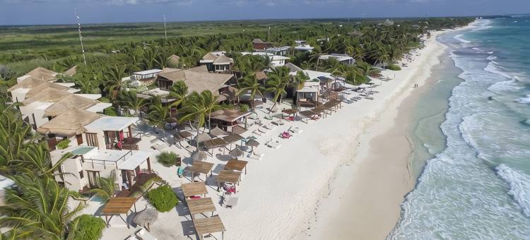 图卢姆La Zebra小型奢华酒店(La Zebra Tulum, a Small Luxury Hotel)图片