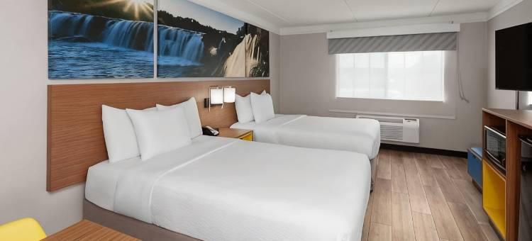 阿灵顿高地戴斯套房酒店(Days Inn & Suites by Wyndham Arlington Heights)图片