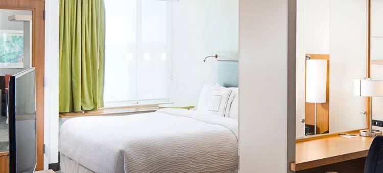 卡尔珀雷斯花园城市万豪SpringHill Suites酒店(SpringHill Suites Carle Place Garden City)图片