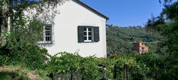 Casa Bianca Comfortable holiday residence图片